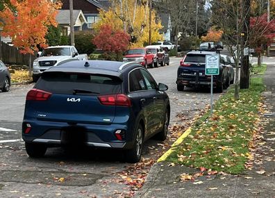 Reddit car park fake