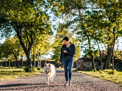 Woman and shepherd dog walking together in public park