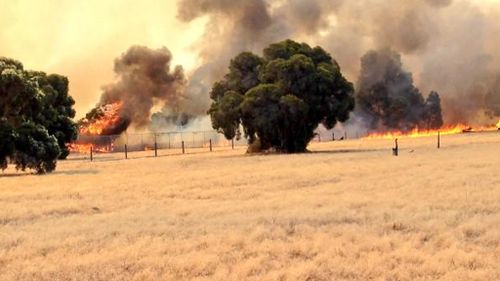 Western Australian bushfire warning downgraded, no threat to homes