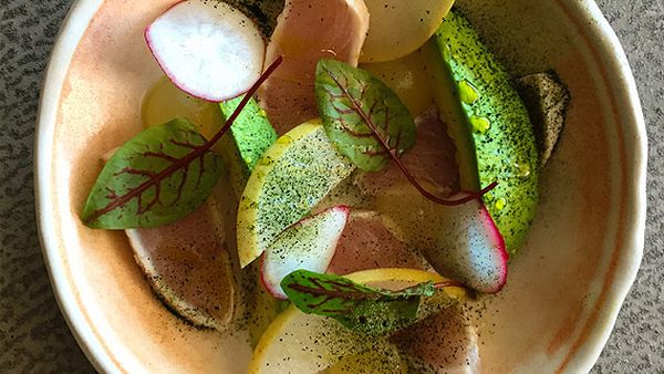 Matt Moran's seared kingfish with radish, avocado and wasabi