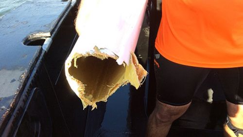 Lucky escape for kayaker after shark attack in Moreton Bay