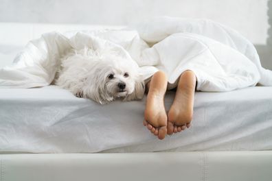 Woman in bed with her dog