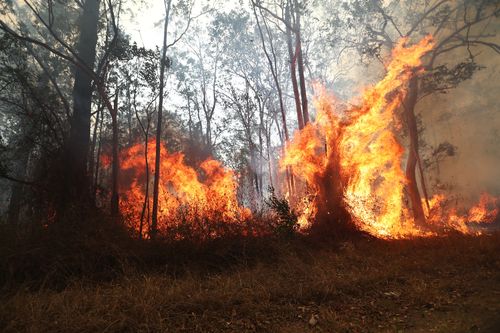 Firefighters battle bushfires in Busbys Flat, northern NSW, Wednesday, October 9, 2019. (AAP Image/Jason O'Brien) NO ARCHIVING