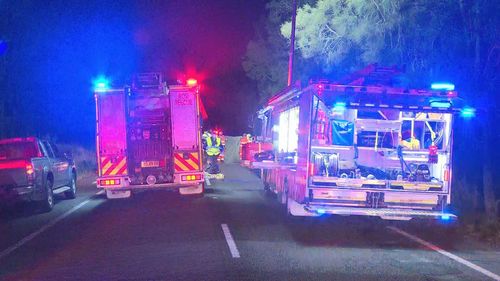 A 16-year-old boy has been killed after a car full of teenagers crashed into a tree at Port Stephens. The driver was a 17-year-old learner, who police said failed a breath test at the scene.