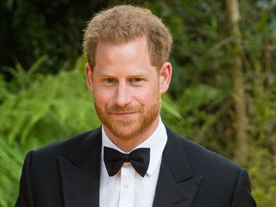 Prince Harry new Netflix show