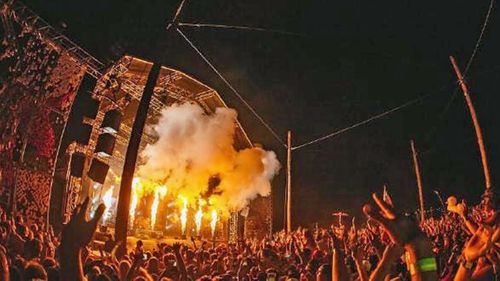More than a dozen NSW music industry and festival stakeholders have called on the state government to stop regulatory plans until an inquest is held into recent overdose deaths.