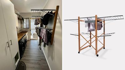 Mounted clothes airer