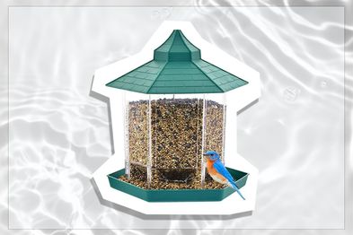 HUIRUMM green Bird Feeder