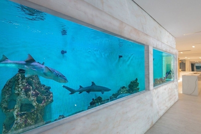 Luxury shark tank listing in New South Wales has bite