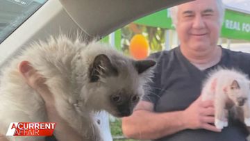 Man filmed allegedly selling cats from car boot following animal cruelty charges