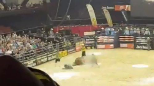 The bull's leg was broken during the rodeo. 