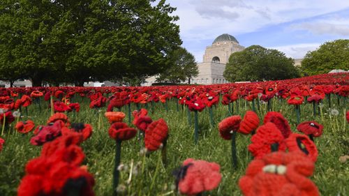 A field of handmade poppies is seen in the sculpture garden of the Australian War Memorial in Canberra.