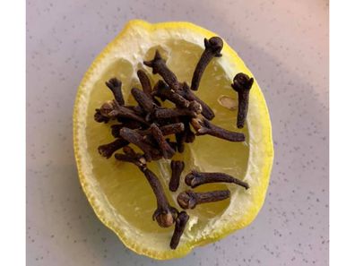 Mum shares chemical-free hack for keeping flies away
