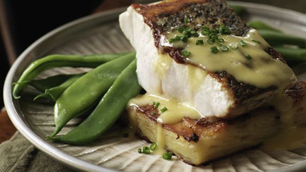 Pan-fried mulloway with potato gratin and leek sauce