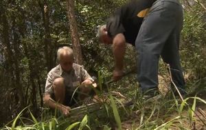 New gold rush as Queenslanders head to the outback in search of buried treasure