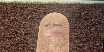 Woman turned herself into a potato during video conference call.