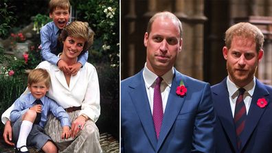Princess Diana would have been 'disappointed' by Prince William and Prince Harry's feud