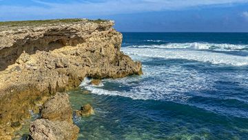 A tourist from the Philippines drowned on a commercial snorkelling tour off South Australia&#x27;s Eyre Peninsula despite the &quot;valiant&quot; resuscitation efforts by those with her at the time, an inquest has been told.