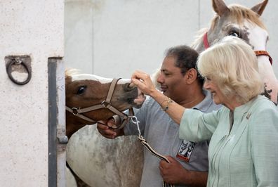 Camilla, Duchess of Cornwall 