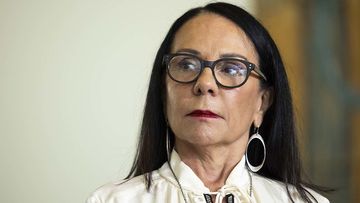 Indigenous Affairs Minister Linda Burney says the program will be &quot;life-changing&quot;.
