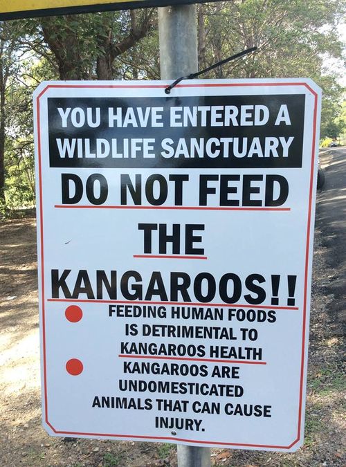 A warning sign has been erected urging people to stop feeding the kangaroos. (Kroosn Shuttle Service Pty Ltd/Facebook)