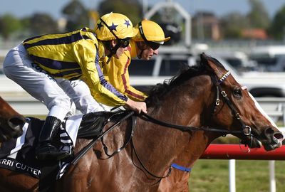Bel Sprinter  and Miracles of Life hitthe line in a dead heat in the Caulfield Sprint.