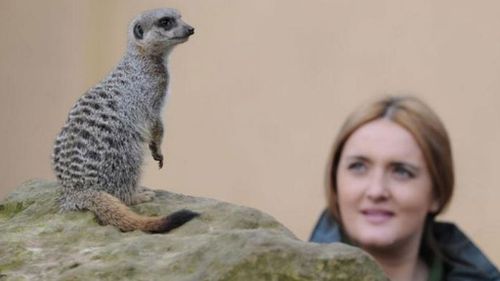 Zookeepers behave like animals during 'menagerie a trois' at London Zoo Christmas party