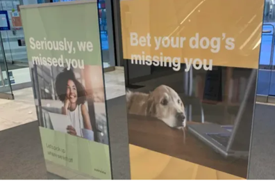 'Tone deaf' office puts up signs saying 'bet your dog misses you' to returning workers