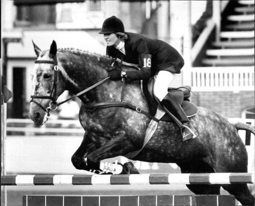 Vicki Roycroft on her way to first place in advanced class on "Faro" in the final round of Sydney Morning Herald Three Day Event - Showjumping at R.A.S. Showground. (Photo: March 17, 1984)