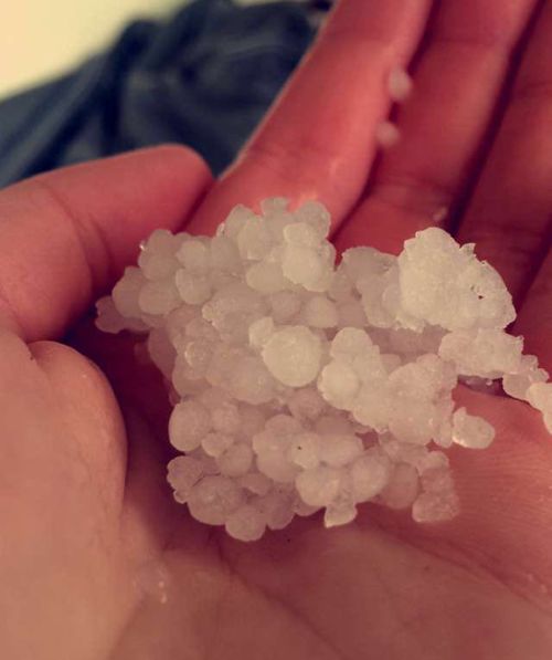 Clumps of hail that fell in Stockwell, South Australia. (Emma Holmes)