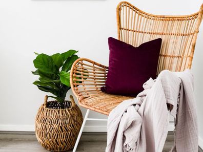 How to choose the perfect indoor plant for each room