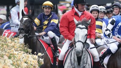 Melbourne Cup horse Araldo caught in fence (Gallery)