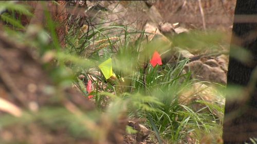 Police have established a crime scene after bones were found in the Royal National Park on the weekend.