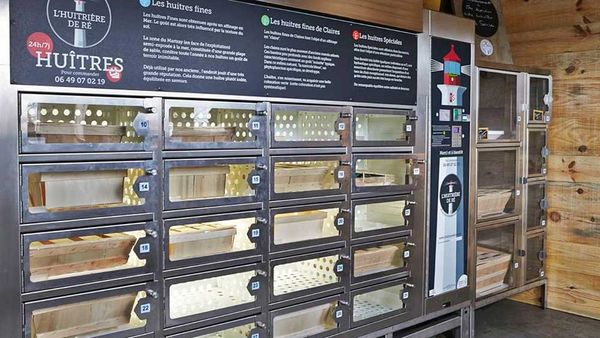 Oyster vending machine in Ile de Re_thumb
