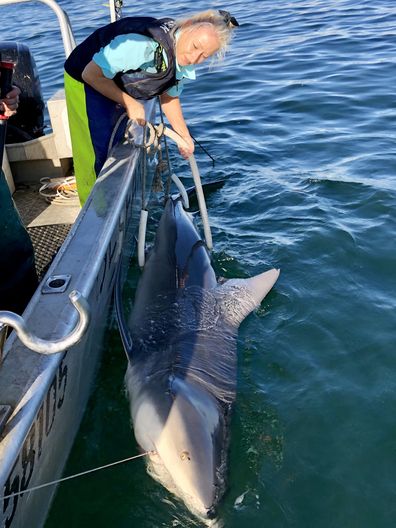 Amy Smoothey shark tackler