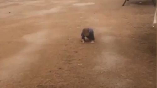 190502 Drought news Australia toddler rain dance