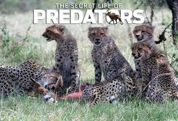 Secret Life Of Predators