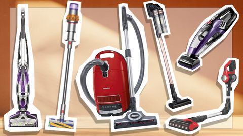 9PR: The best vacuums to remove the pesky pet hair
