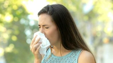Hay fever spring allergies sneezing