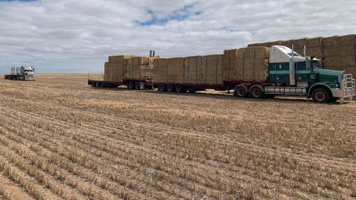 Drought Australia NSW Coonabarabran assistance handouts Rural Aid