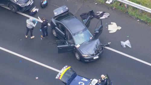 Seis homens presos após a dramática policial perseguir Rosebud