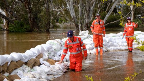 CFA, armée et armée de l'air travaillent ensemble Sacs de sable le long de Campaspie Esp.  À Echuca Ouest