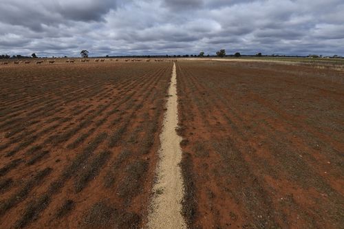 Population shift has also been affecting rural towns, as families relocate away from the struggles of the drought - leaving the towns without teachers, police, medical workers or storekeepers.