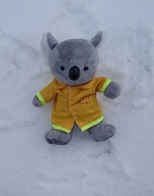 A firie enjoying the snow in the Adelaide Hills. (Country Fire Service)