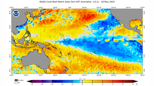 Current sea surface temperature anomalies in the Pacific Ocean, showing a distinctive La Niña pattern with cooler-than-average water in the central and eastern equatorial Pacific Ocean and warmer-than-average water in the western equatorial Pacific Ocean.