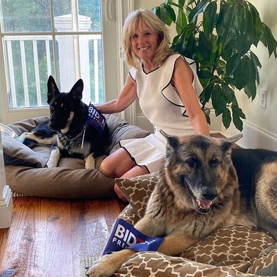 Jo Biden, Jill Biden, dog