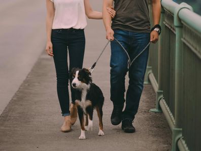 Stock photo of a couple walking a dog.