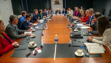 A special meeting of NSW cabinet in response to the domestic violence crisis, May 3, 2024.