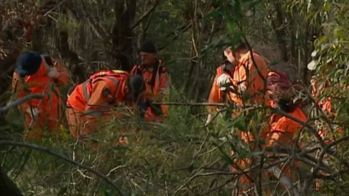 Lloyd Rayney pushes for fresh investigation to find wife's killer 15 years after her body was discovered in Perth park