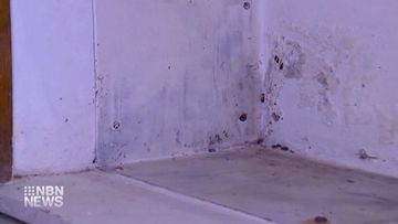 Two social housing tenants say they&#x27;re concerned for their health due to a mould infestation in their Newcastle apartment.